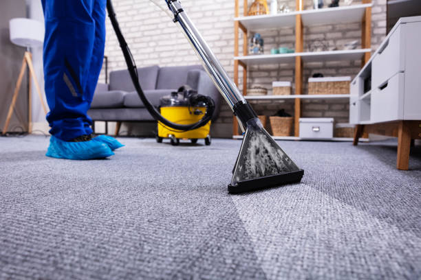 Carpet Cleaning Prices Johannesburg