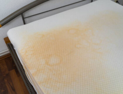 How to get pee out of a mattress without vinegar and baking soda