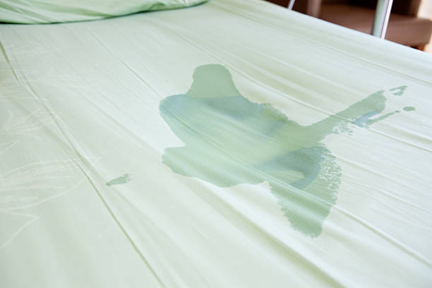 The Dangers of Urine in Mattress Cover
