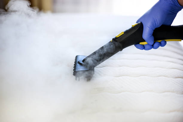 sofas cleaning